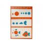 Preview: FEUCHTMANN JK FUNNY ANIMALS Weiche Härtung Modell SET  (12-tlg)